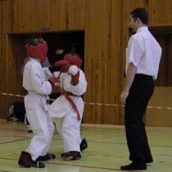 Narama v neděli pořádá pro děti krajskou soutěž v karate