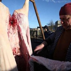 Klatovská „Zemědělka“ slaví 140 let nejen zabijačkou 
