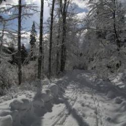 Klíčové události roku 2012 na Šumavě