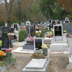 Kradené lampičky ze hřbitova prodával ve sběrně