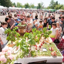 Letošní plzeňský Apetit Festival byl plný rekordů 