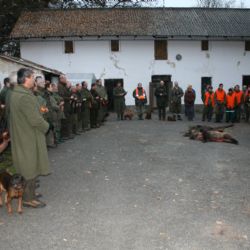 Městské lesy Rokycan pořádají naháňky