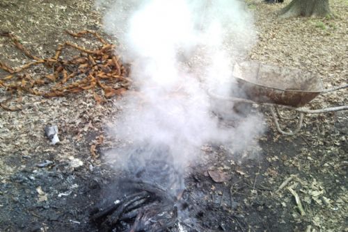 Foto: Na Borech pálili kabely, kov chtěli prodat
