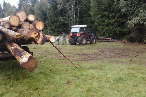 Foto: Na Šumavě kradli dřevo v první zóně národního parku