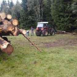 Na Šumavě kradli dřevo v první zóně národního parku