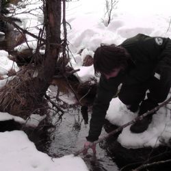 Na Šumavě zkoumají kvalitu vody, je dlouhodobě výborná