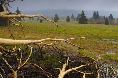 Foto: Národní parky Bavorský les a Šumava prosazují otevření přechodu Modrý sloup