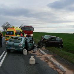 Nedělní nehodu u Chotěšova nepřežila mladá řidička