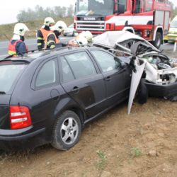 Nehoda u Třemošné si vyžádala život řidiče a psa