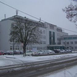 Největším problémem při hledání práce je němčina