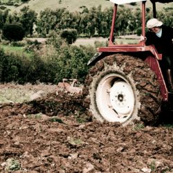 Od rybníka u Koutu na Šumavě ukradli traktor