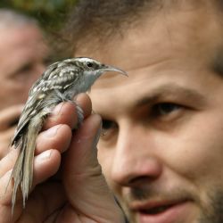 Ornitologové zvou v sobotu na vycházku i do stanice