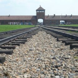 Pamětní kameny budou i v Plzni připomínat oběti holokaustu