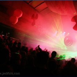 Pig Fest Positive 20th Celebration – poslední info, než to vypukne! 