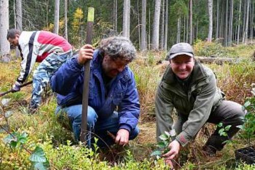 Foto: Přijeďte v sobotu zasadit strom a pomoci zelené Šumavě