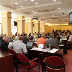 Sdružení Ledovec dostane 40 tisíc korun