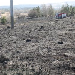 Shořely čtyři hektary lesa a trávy na Šibeničním vrchu 