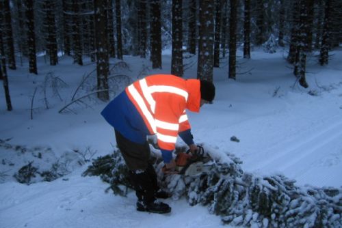 Foto: Strážní služba Šumava odklízela následky sněhové bouře 