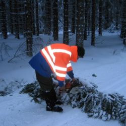 Strážní služba Šumava odklízela následky sněhové bouře 