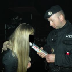 Strážníci a policisté chytili v Plzni 12 opilých mladistvých