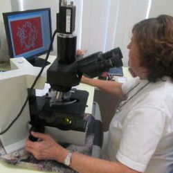 Tým Genetiky Plzeň posílila profesorka Ulčová-Gallová 