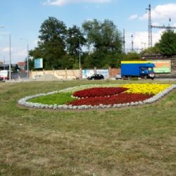 V centru Plzně přibudou kytky za 150 tisíc korun