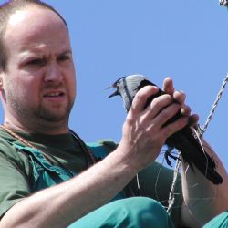V neděli slaví dvacetiny plzeňští zvířecí záchranáři