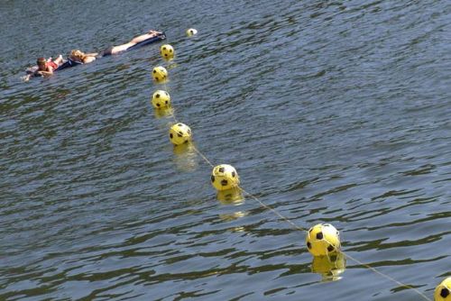 Foto: Otužilci plavali v Boleveckém rybníku