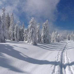 Vybrali nejhezčí digitální fotku v dějinách NP Šumava