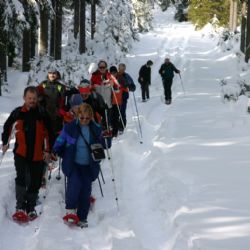 Vydejte se vždy ve středu na sněžnicích kolem Kvildy