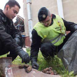 Z bourané nemocniční budovy vypadávali ztuhlí netopýři