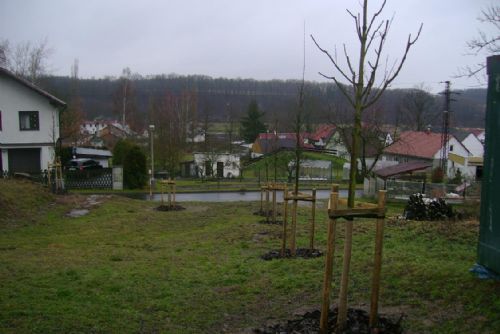 Foto: Západočeskou Šabinu zkrášlí přes 100 nových stromů