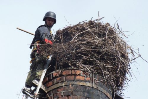 Foto: Zvířecí záchranáři rekonstruovali čapí hnízdo v Janovicích