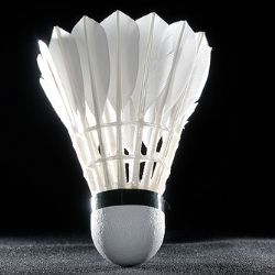Badmintonová extraliga po sedmi letech v Plzni