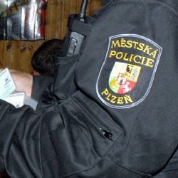 Chtěl přeprat strážníky, za chvíli ležel sám
