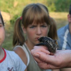 Hlohovice na Rokycansku patřily táborníkům 