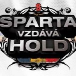 Hokejem pro dobrou věc