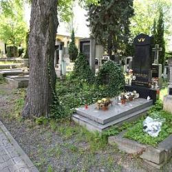 Hrob s ostatky prof. Kosa se stane česným hrobem Plzně 