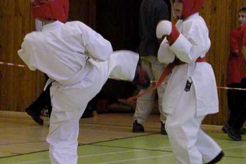 Foto: Narama pořádala turnaj v karate a uspěla na MČR v kickboxu