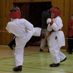 Narama pořádala turnaj v karate a uspěla na MČR v kickboxu