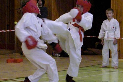 Foto: Narama opět pořádala Letní školu karate