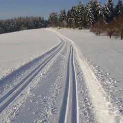 Kraj rozdělí 300 tisíc na úpravu stop na Šumavě