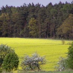 V Nýrsku poradí, jak přispět k ochraně přírody