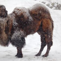 Krásná zvířátka v ZOO Plzeň