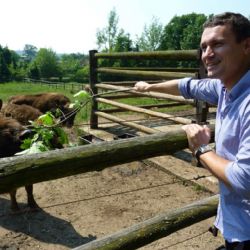 Malí zubři z plzeňské zoo mají jména