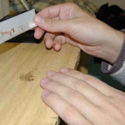 Mladík ve Zruči pěstoval čtyři rostliny konopí, hrozí mu basa