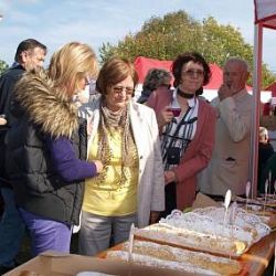 Místní akční skupiny dostanou na akce dotace od kraje