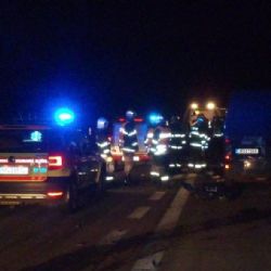 Na dálnici D5 bourala dodávka převážející potkany 