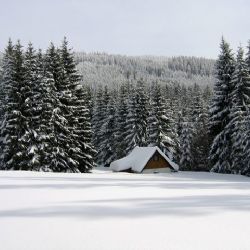 Na Šumavě začala fungovat slevová turistická karza