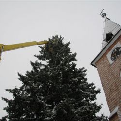Šumavská Kvilda má připraven nejvyšší vánoční strom v ČR